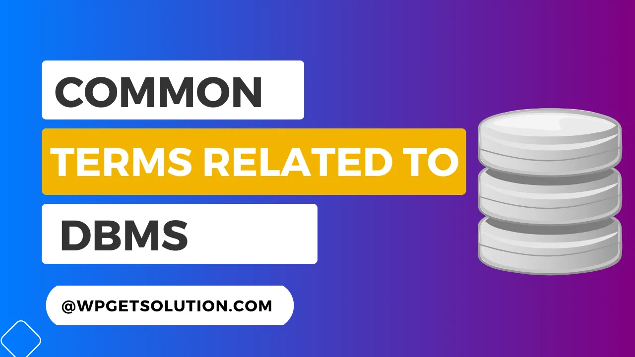 Common Terms Related to Database Management System